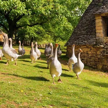 Le Clos De Peyruzel, Holiday home *