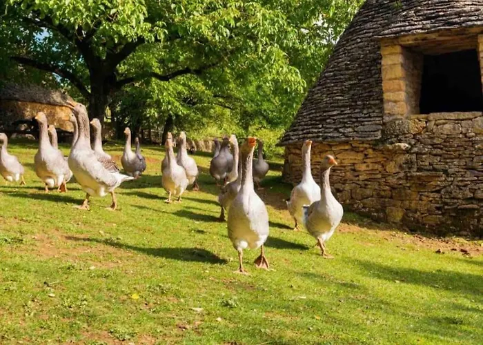 Le Clos De Peyruzel, Casa de Férias *